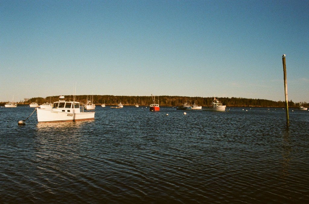 On Film: The Coast of&nbsp;Maine
